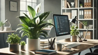 4 razões para ter lírio-da-paz no escritório e atrair boas energias