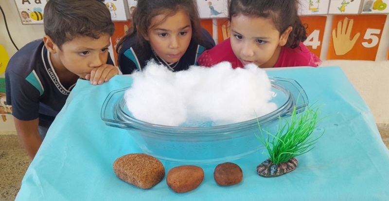 Preservação da água