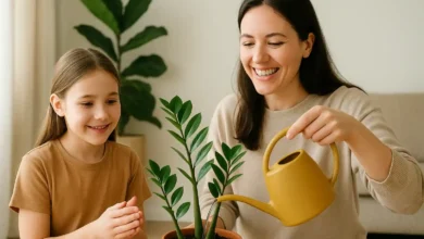 Zamioculca 4 macetes para regar evitando folhas murchas