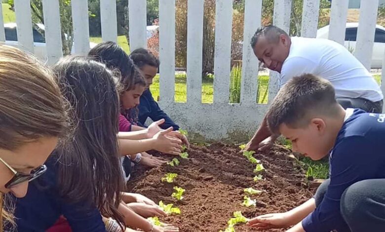 Horta na escola