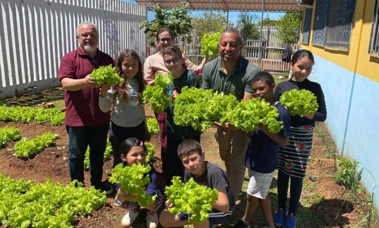 Horta na escola