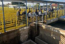 Visita Corsan